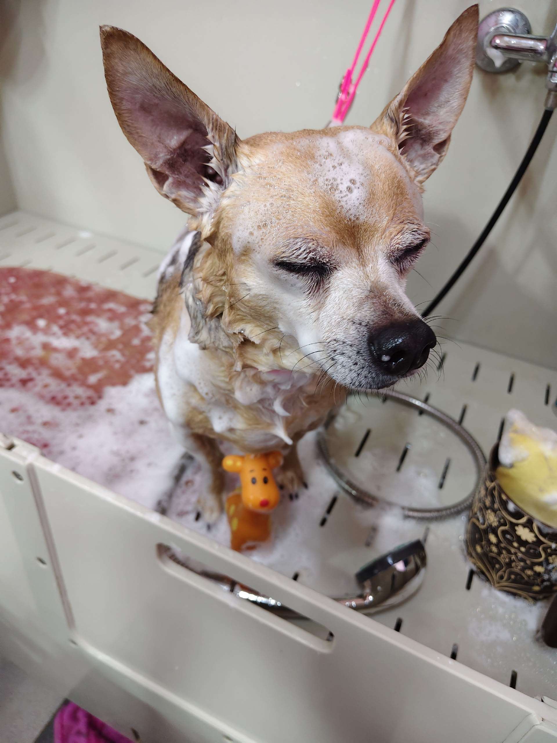 Груминг работа 3