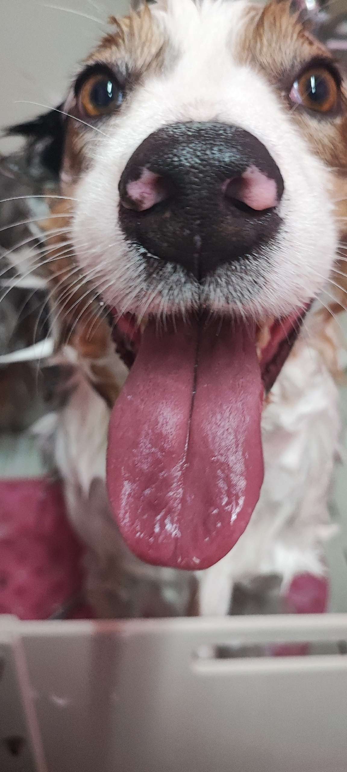 Груминг работа 6