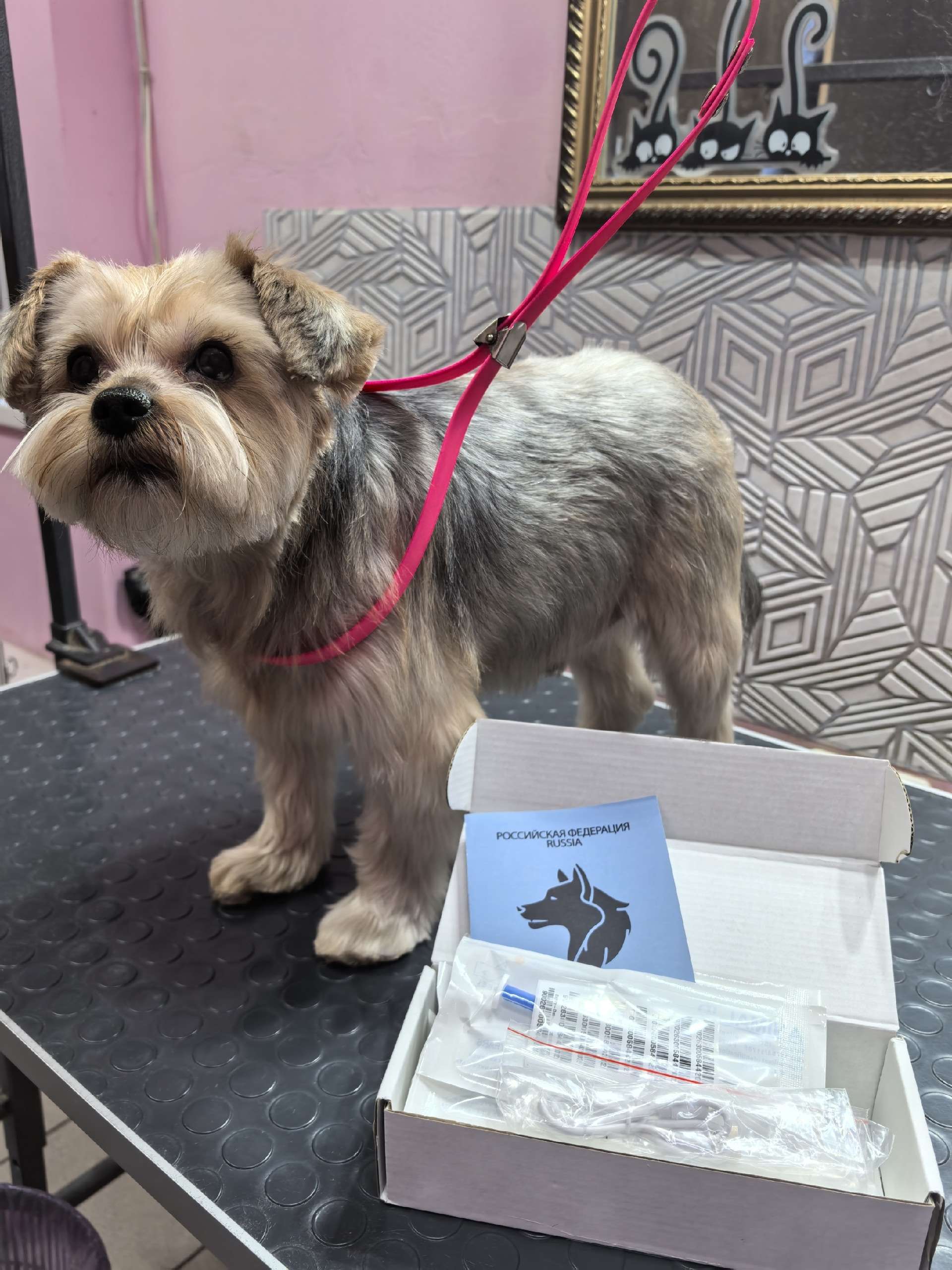 Груминг работа 7