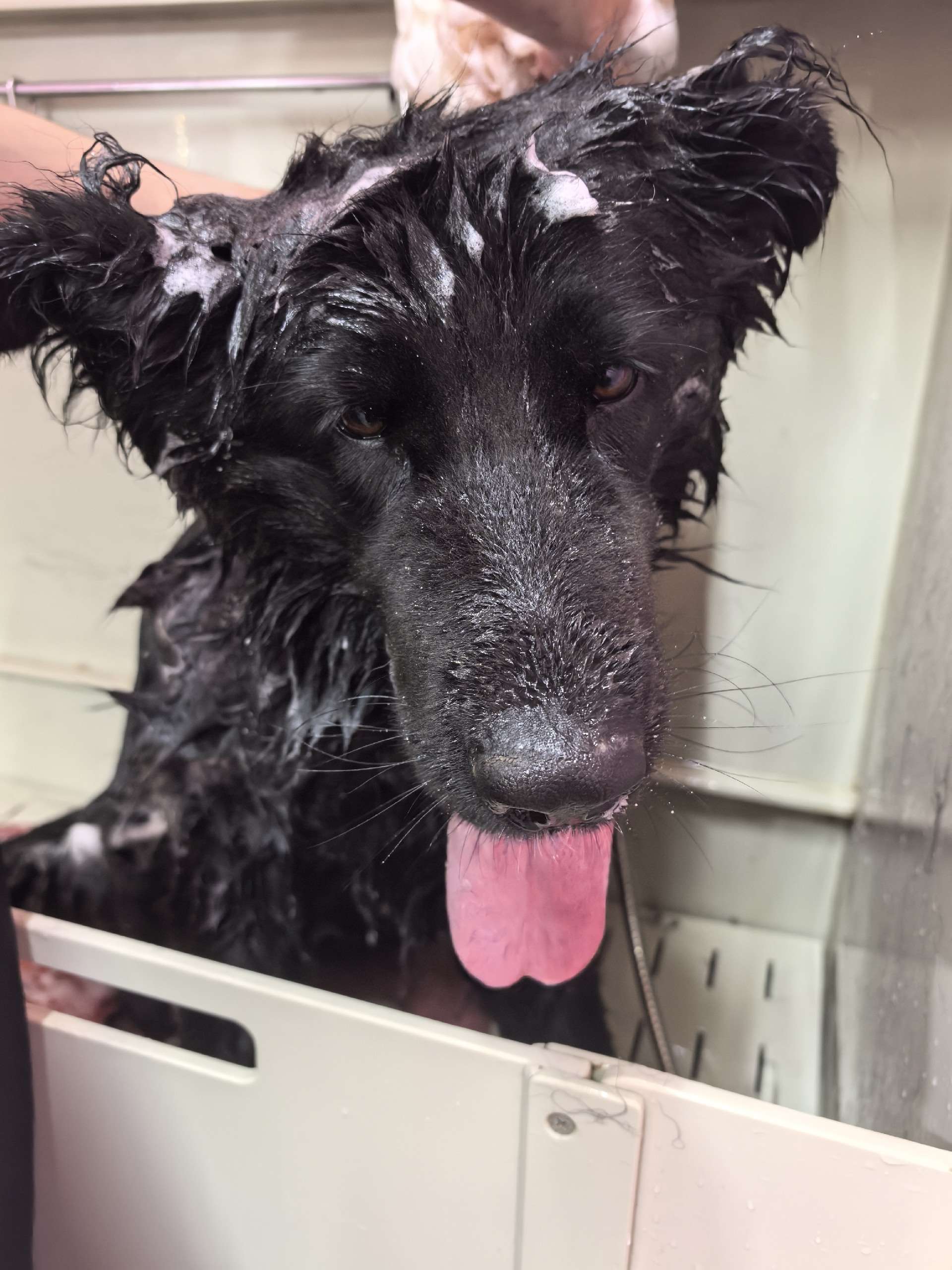 Груминг работа 1