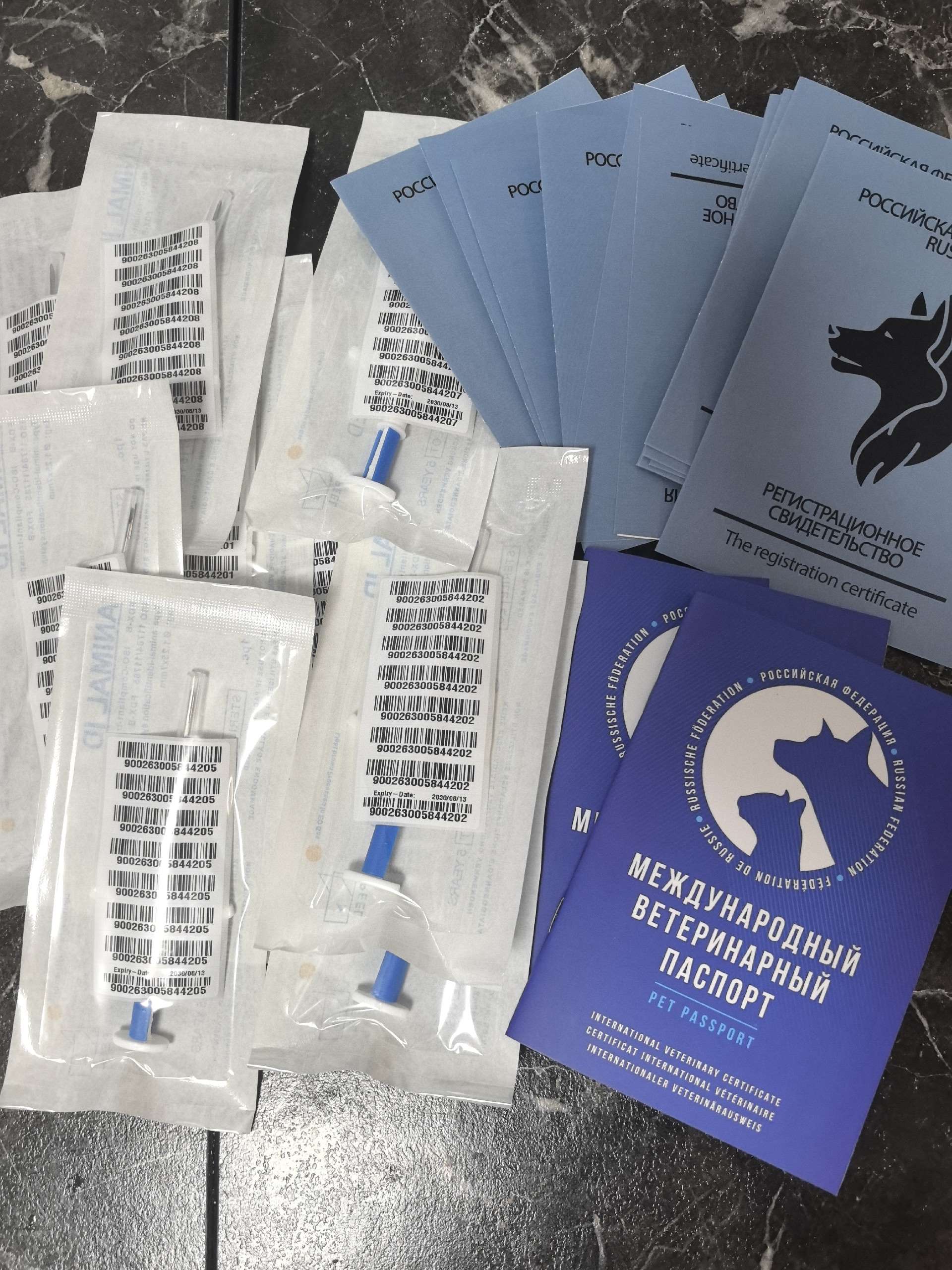 Чипирование питомцев